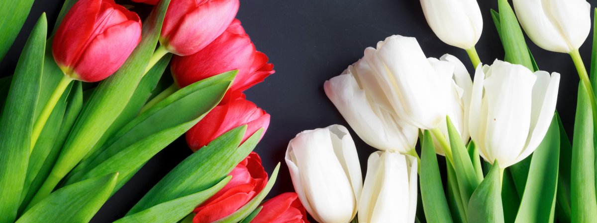 Весна картинки