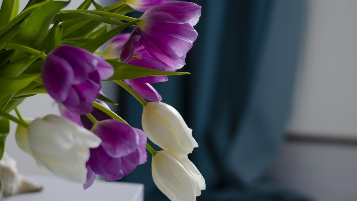 Букет тюльпанов в вазе