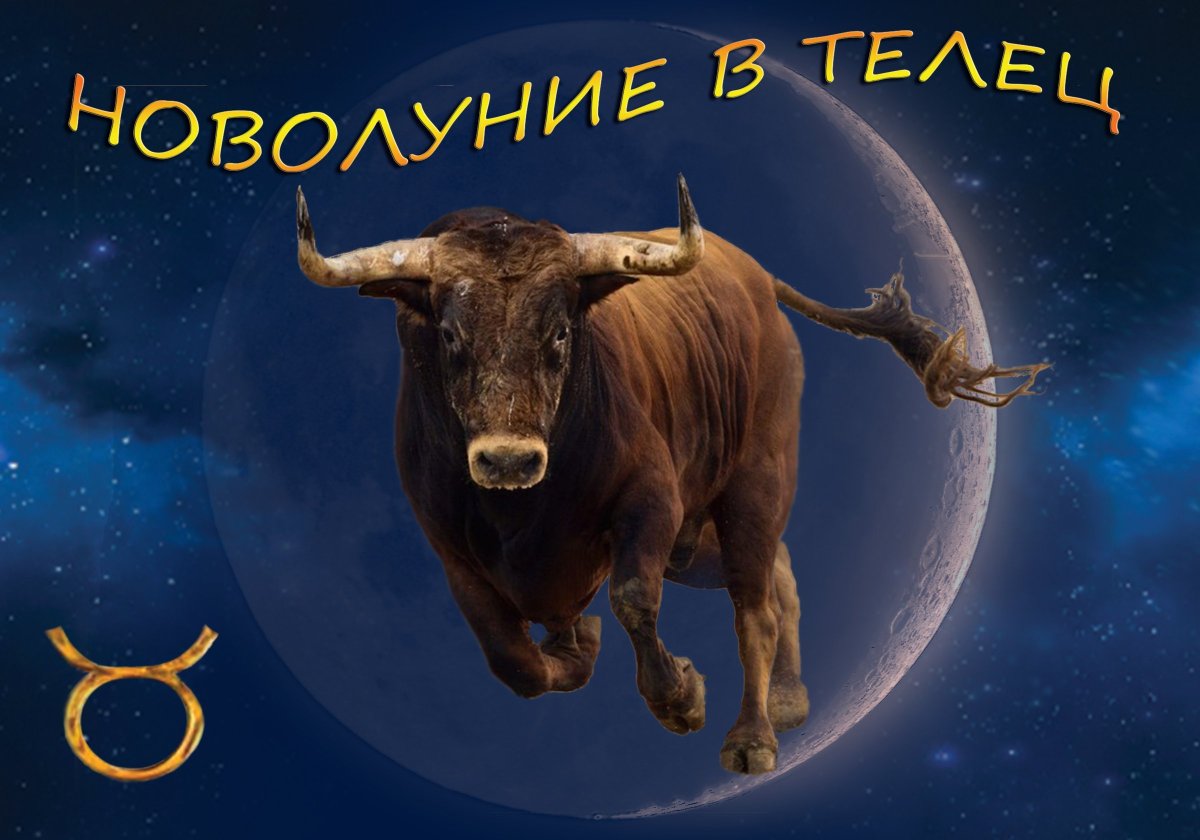 Телец астрология
