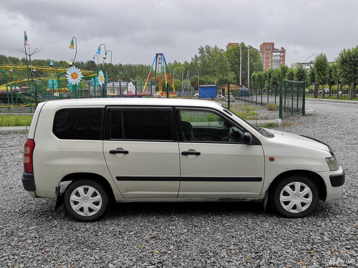 Суксид белый, салон