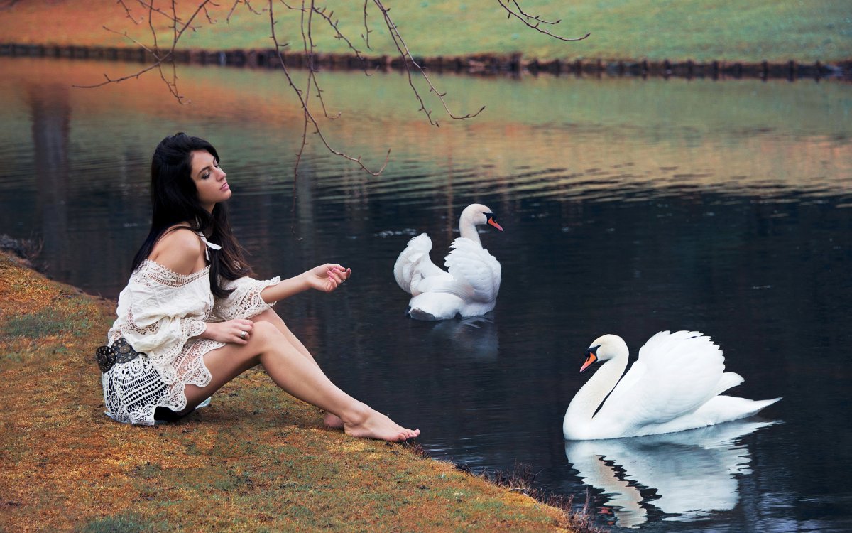 Фотосессия с лебедем