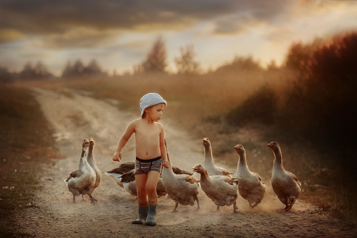 Девочка и Гусь