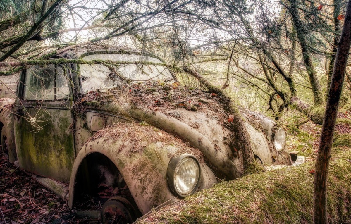 Заброшенные автомобили обои