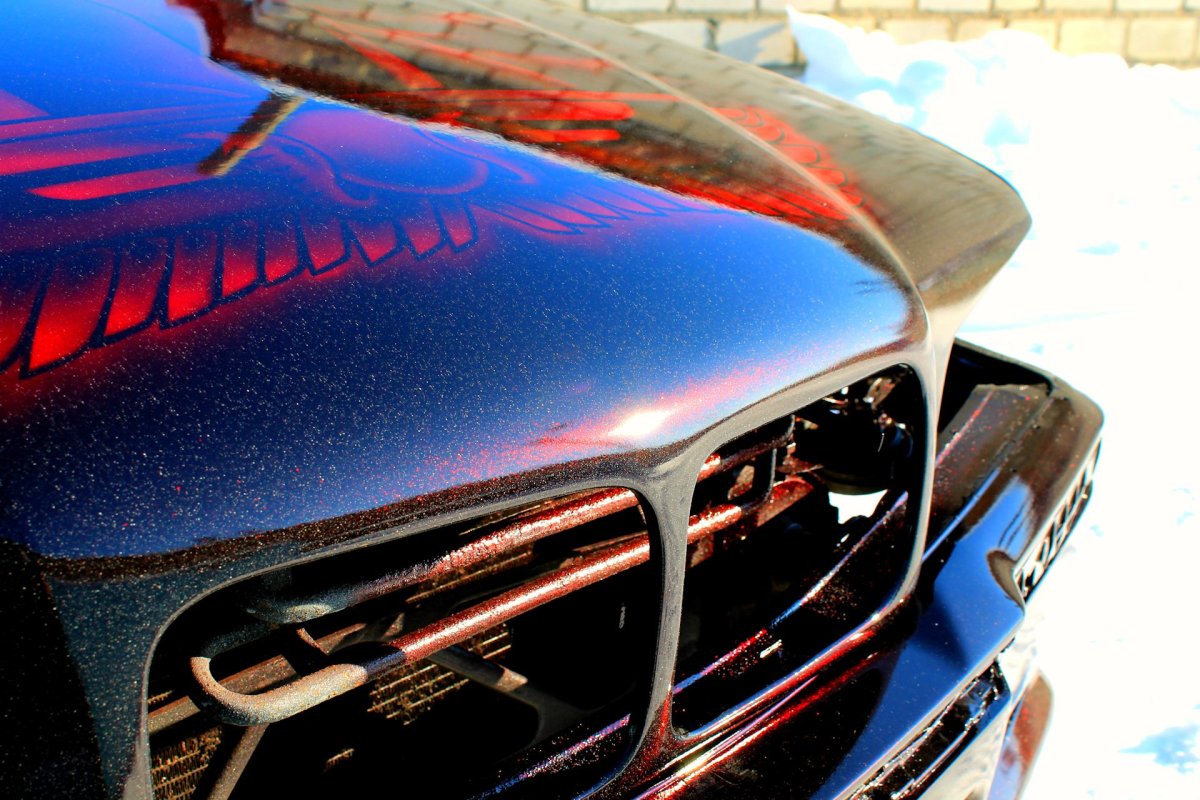 Красный ксералик Кэнди