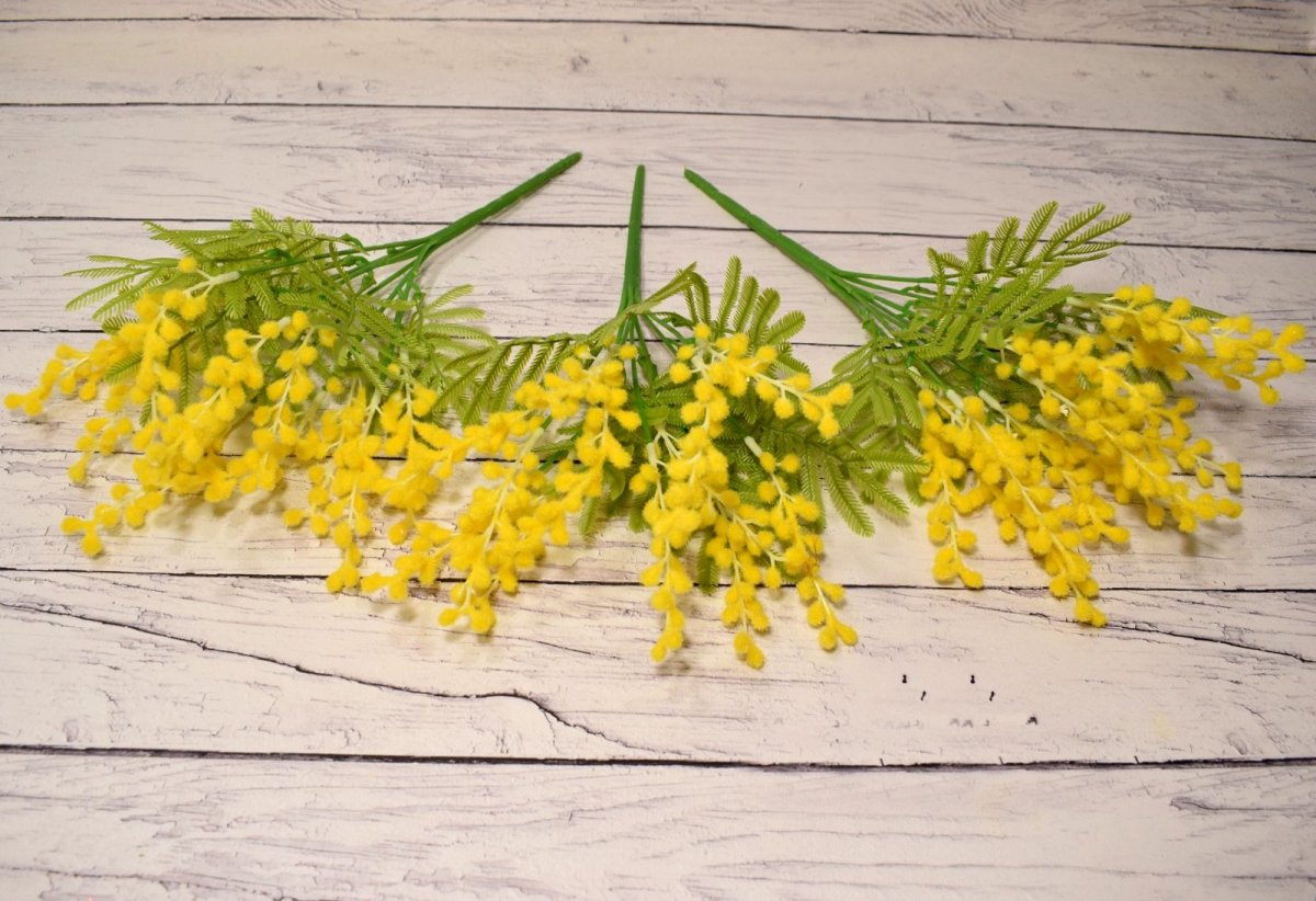 Желтые цветы Мимоза