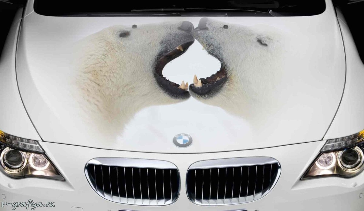 Машина с птицей на капоте