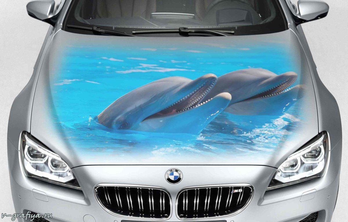 Машина с лебедем на капоте