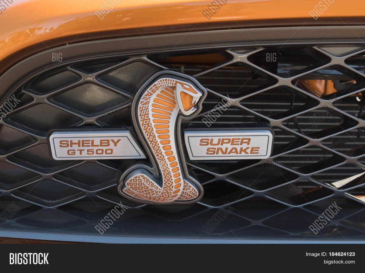 Марка машины со змеей