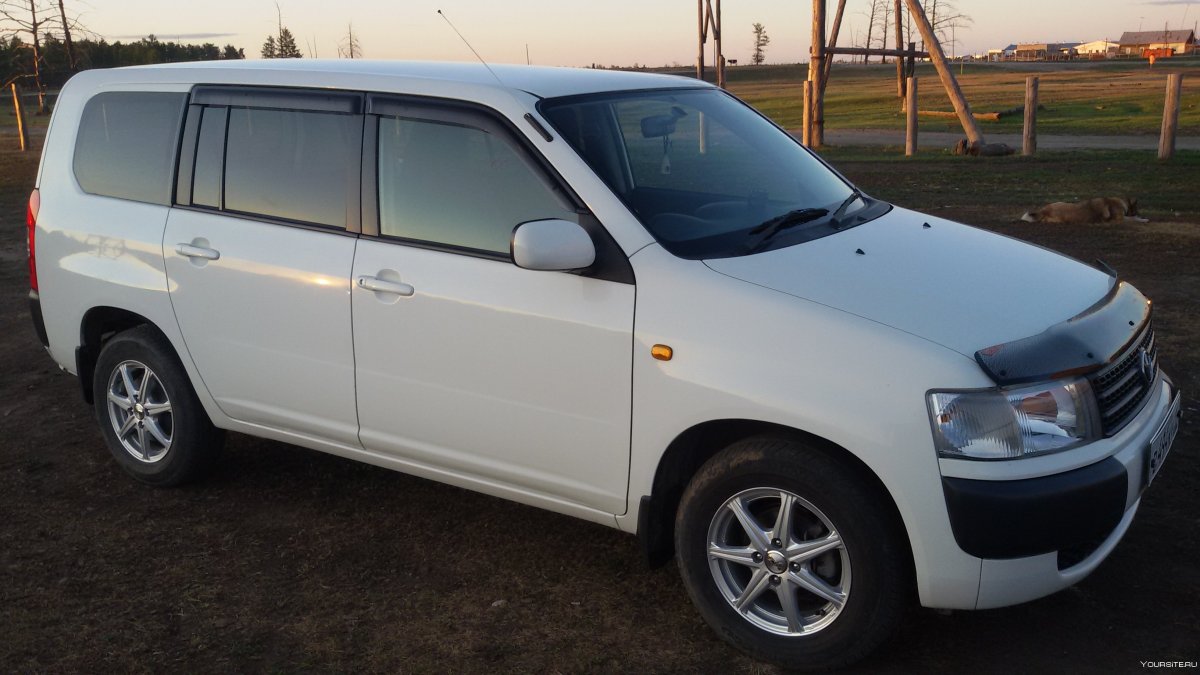Тойота Пробокс 2012