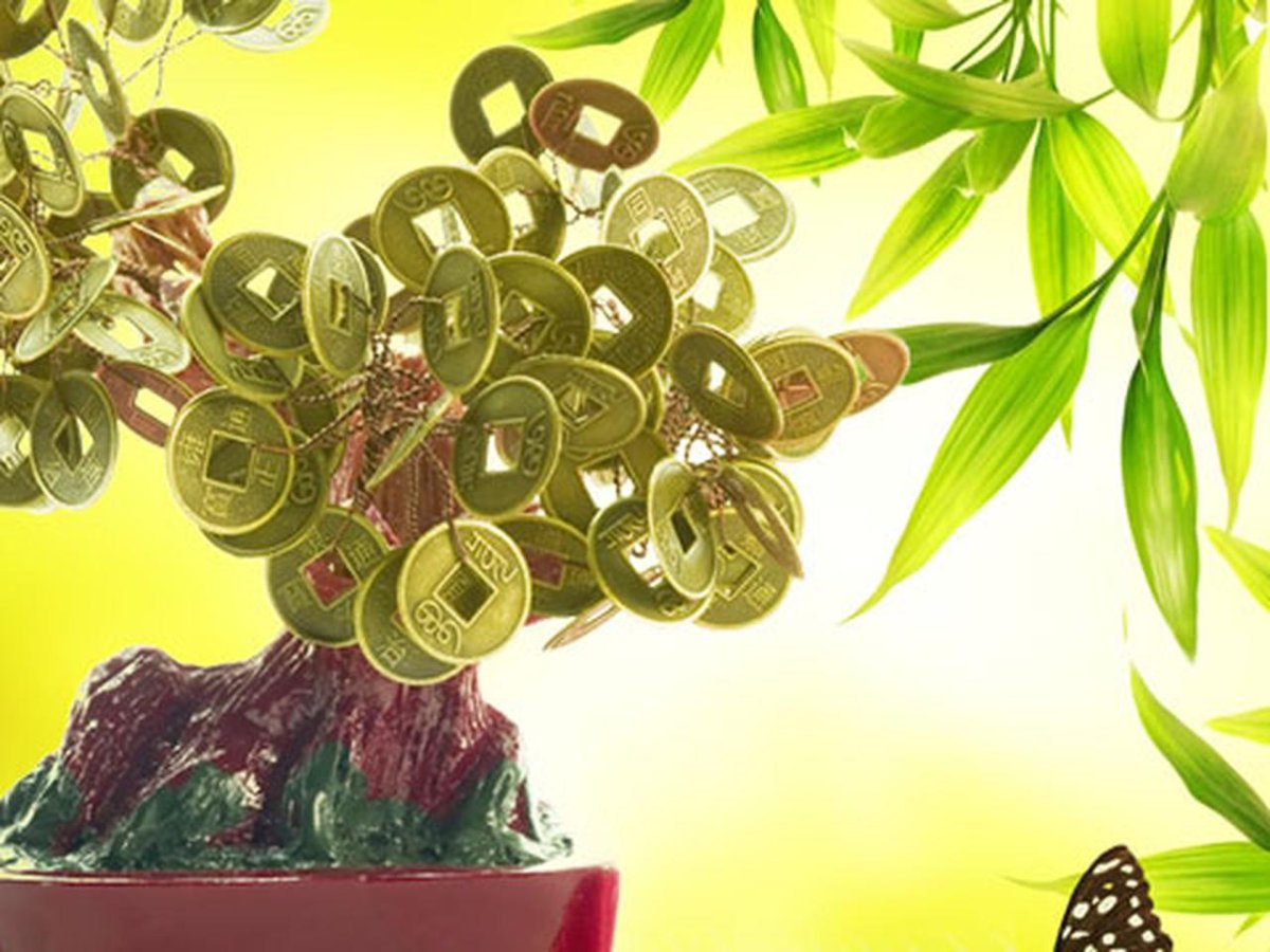 Денежное дерево на рабочий стол