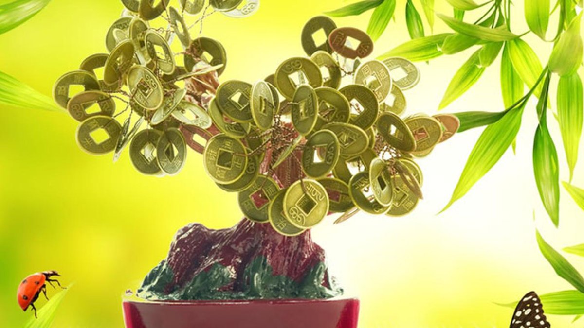 Денежное дерево на рабочий стол