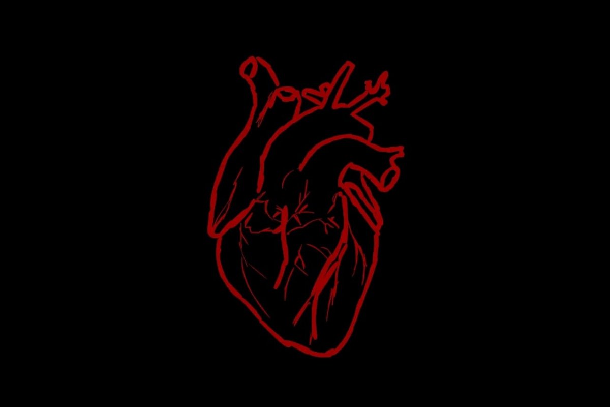 Анотомическоесердце на черном фоне