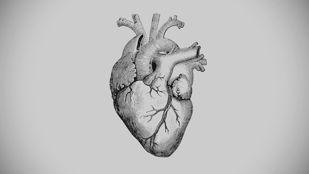 Обои на рабочий стол Минимализм