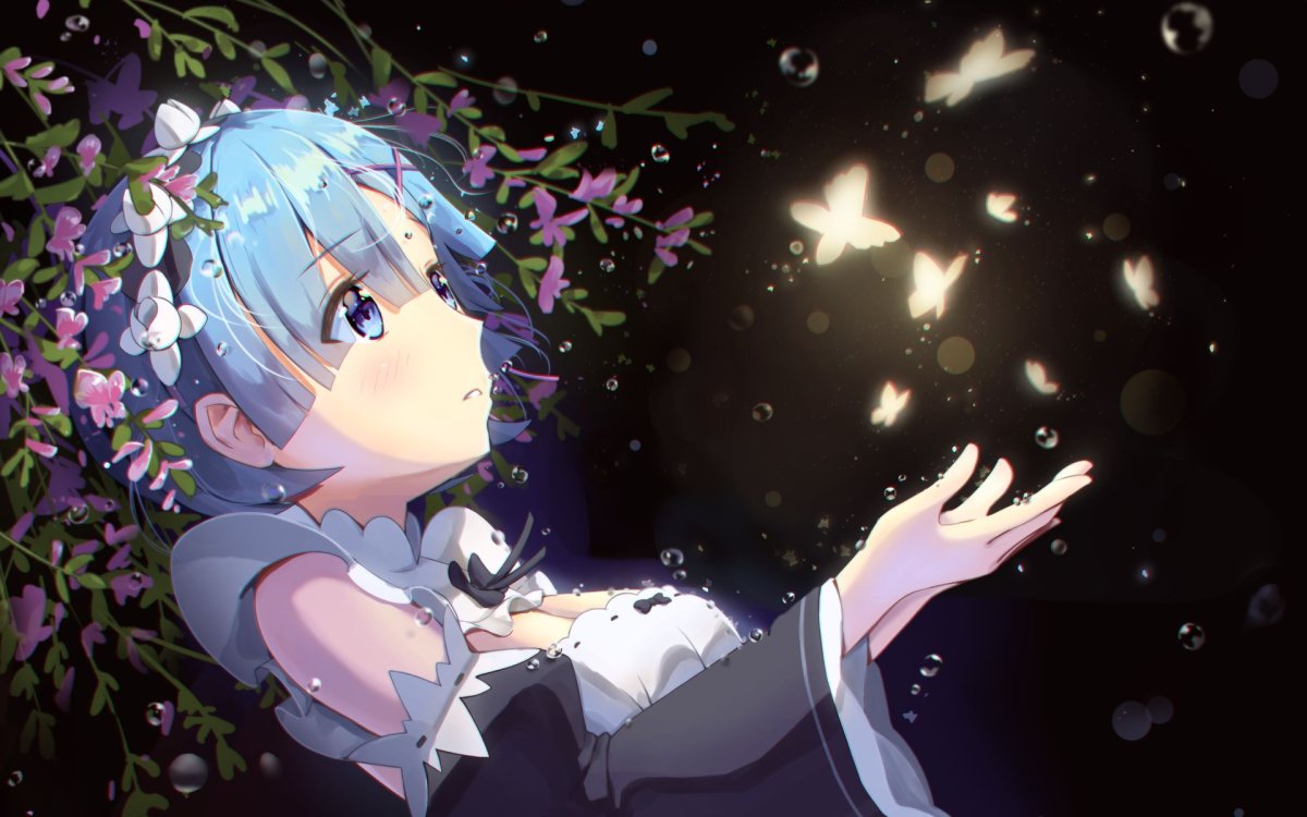 Re Zero Rem HD