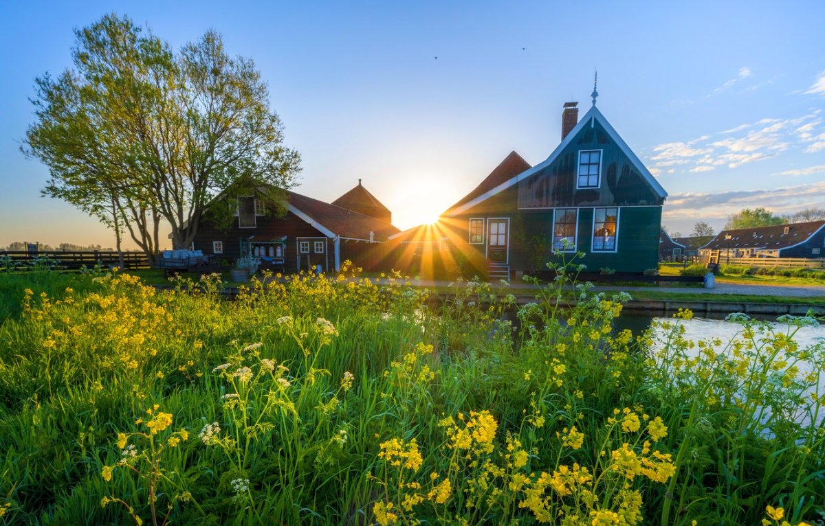 Картинки на рабочий стол