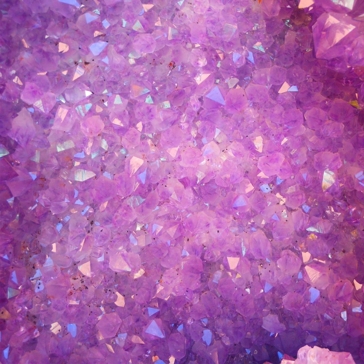 Фиолетовый фон для позинга