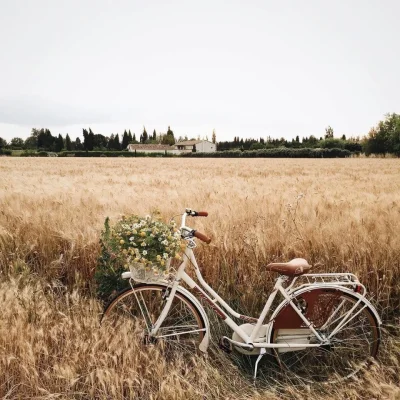 Велосипед Эстетика Пинтерест