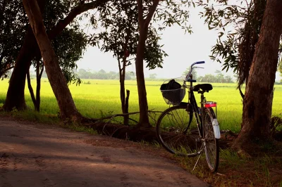 Велосипед на природе