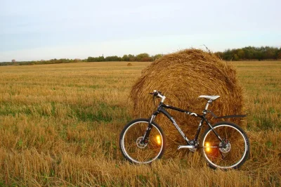 Велосипед в поле