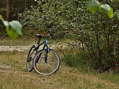 Велосипед в деревне