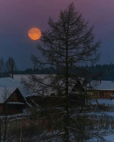 Зимняя ночь в деревне