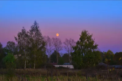 Сумерки в деревне