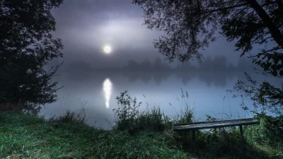 Ночь река лес