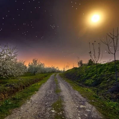 Деревенская дорога ночью