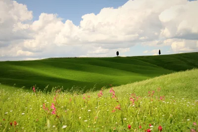 Холмистая равнина равнина