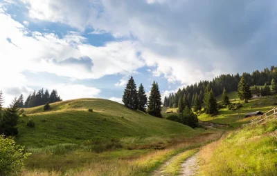 "Урал" холмы тропа