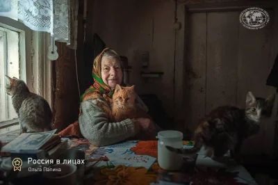 Деревенские коты