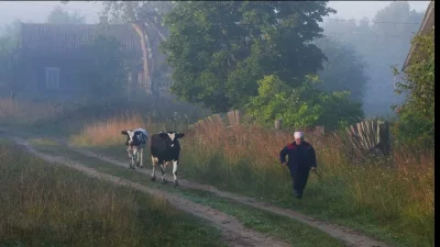 Утро в деревне
