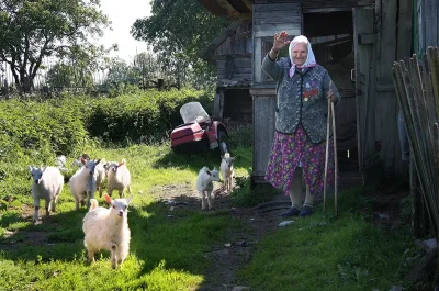 Бабушка в деревне