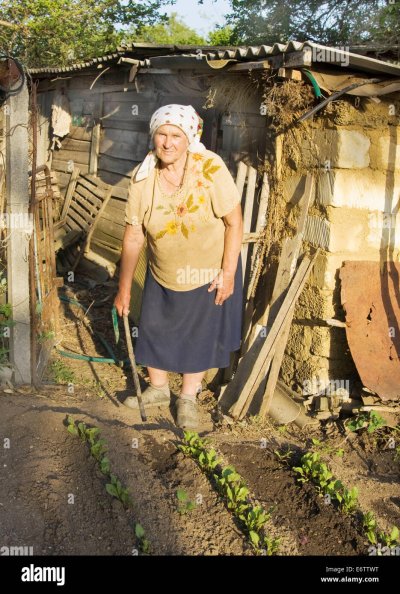 Пожилая женщина на даче