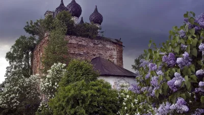 Бронница Церковь сирень