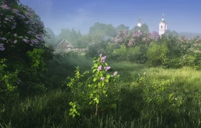 Утро в деревне