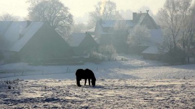 Русская зима в деревне