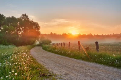 Рассвет летом