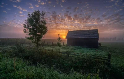 Утро в деревне