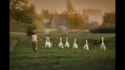 Где гуси в деревне и Дубаи выросли