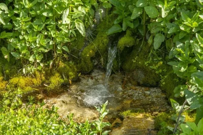 Родник ааштопф Германия