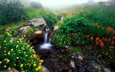 Родник ручей река