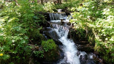 Родники Удмуртии