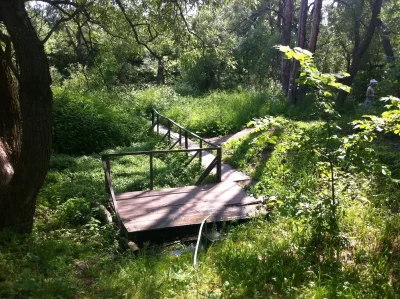 Монаховский Родник деревня Алексеевка