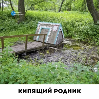 Шакинская Дубрава Волгоградская область