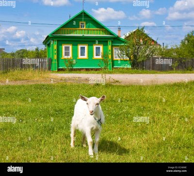 Домик в деревне козочки