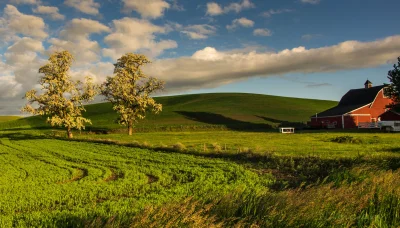 Ферма пейзаж