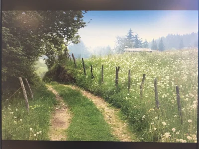 Лето в деревне