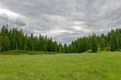 Фон трава и небо