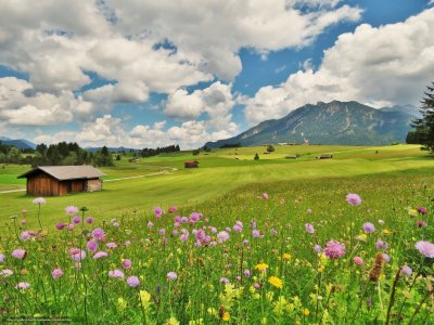 Альпийские Луга Австрии